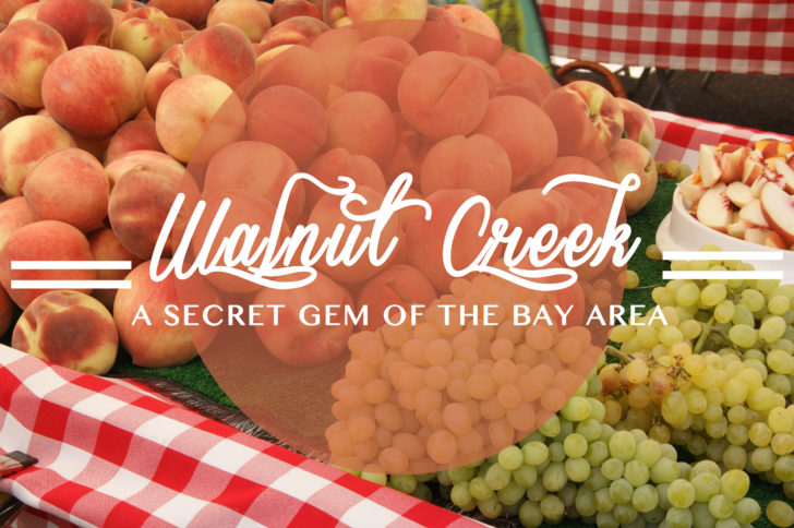 Walnut Creek: One of the secret gems of the Bay Area